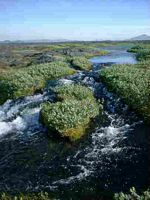 0 Menue Island 6