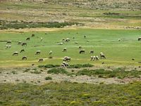 0 Menue Lesotho 1