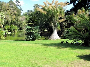 Menue_Agricola_Tropical_0001