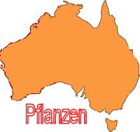 Pflanzen Australien