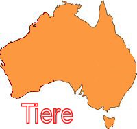 Tiere Australien