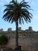 Alcudia_0021