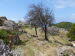 Angelokastro_0008