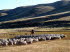 Argentinien_0060