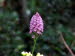 Ausgrabung_Butrint_0079