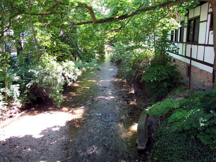 Bad Nauheim 30008
