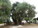 Barati_0015