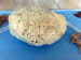 Benitses_Muschelmus_0086