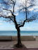 Cala_Millor_0001