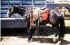 Cheyenne Rodeo 1