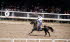 Cheyenne Rodeo 2