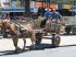 Chile_0082