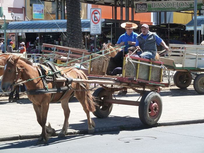 Chile_0082