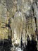 Coves_d_Arta_0014