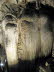 Coves_d_Arta_0028