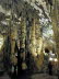 Coves_d_Arta_0034