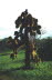 Equador 20002