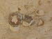 Ermones_Beach_0002
