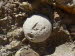 Ermones_Beach_0004