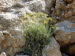Ermones_Beach_0013