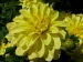 Freiburg_BotGarten_0010