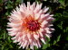 Freiburg_BotGarten_0011