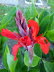 Freiburg_BotGarten_0027
