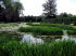 Garten_v_Annevoie0006
