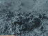 Island 040028