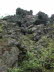 Island 060004