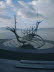 Island 060007