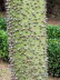 Jardin_Alfabia_0018