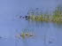 Kalokerino_Stausee__0014