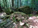 Kandertal_Blausee_0013