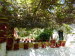 Kloster_Paleokastri_0012