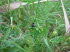 Knogge_Heist_0034
