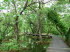 Krka_Wasserflle_0006