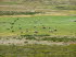 Lesotho 010001
