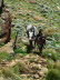 Lesotho 030013