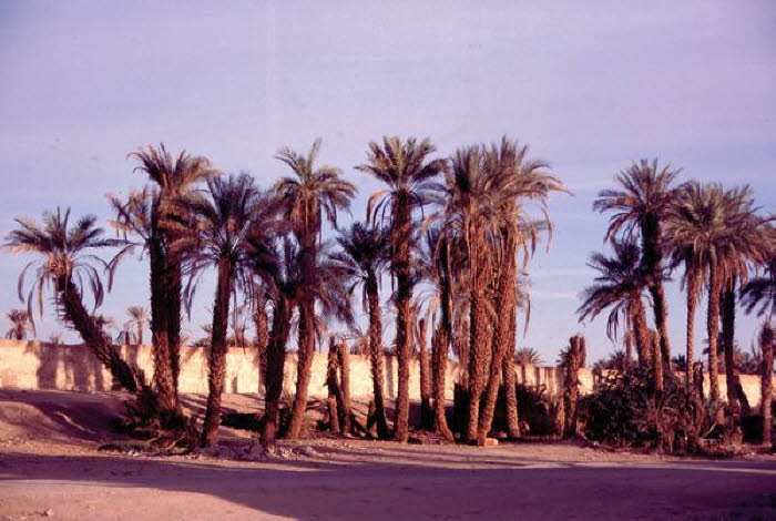Libyen 1a0012