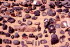 Libyen 1a0014
