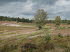 Lneburger Heide 20008