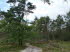 Lneburger Heide 30019