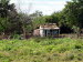Manaca_Iznaga_0013