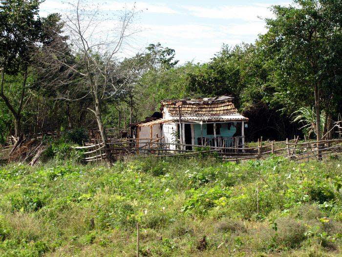 Manaca_Iznaga_0013