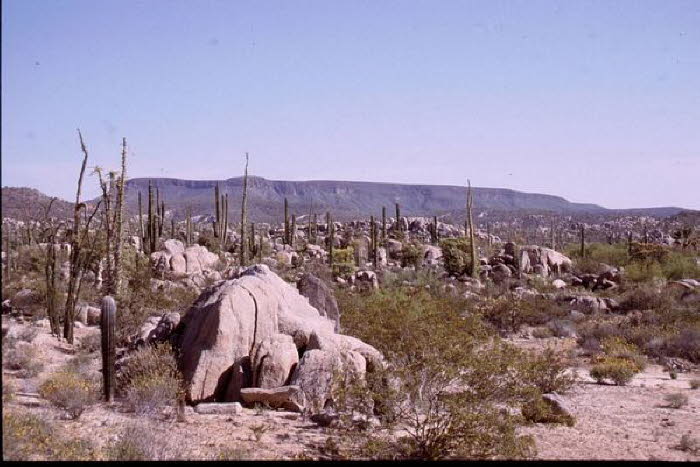 Mexiko 20018
