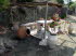 Moni_Thari_0019