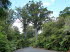 Neuseeland Nordinsel 70013
