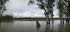 New South Wales 20016