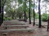 New South Wales 20027